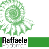 Sito ufficiale dell'Ing. Raffaele Poidomani, specialista in esplosivi, sicurezza nelle cave